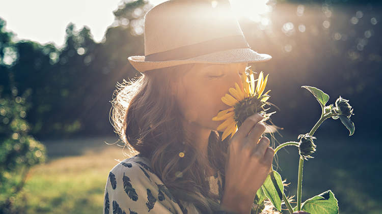 女人嗅探向日葵。