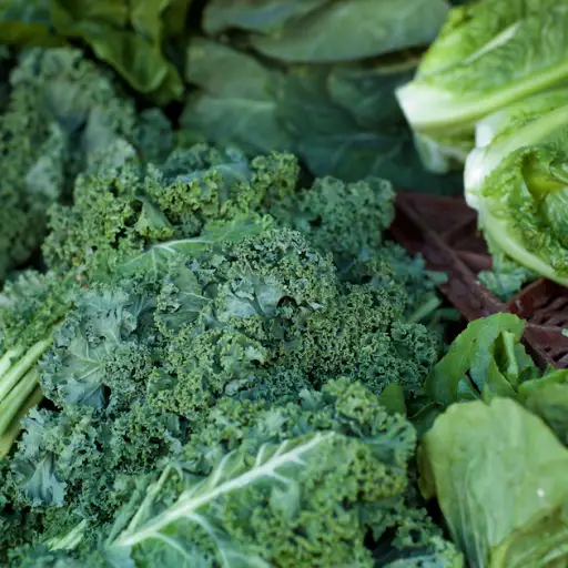 农贸市场的有机绿叶蔬菜。