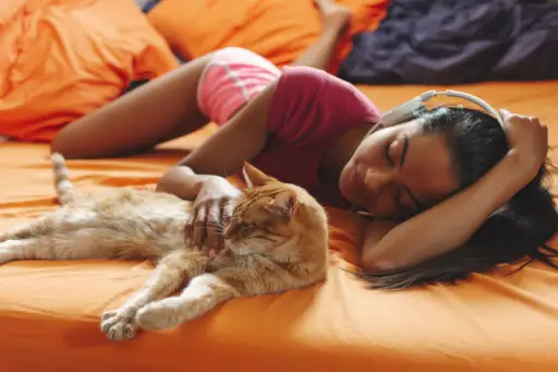 女人带着猫躺在床上听耳机