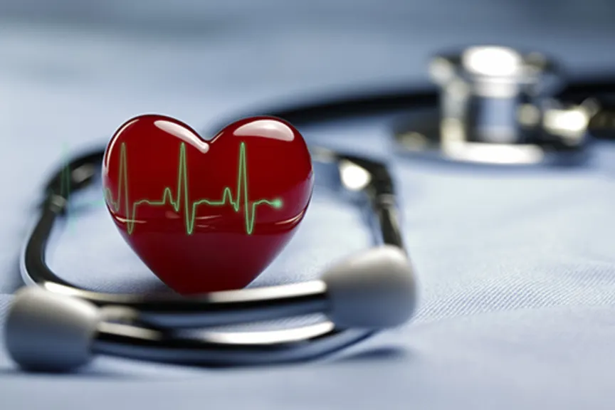 心脏模型和听诊器。
