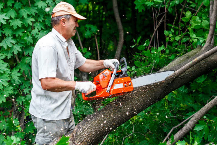 人使用电锯,没有听力保护