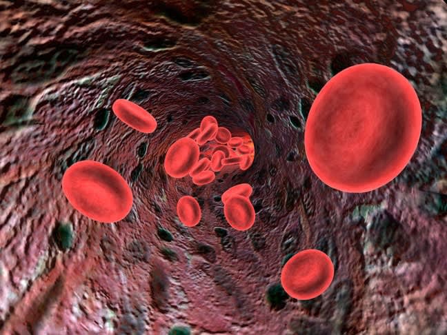 红细胞流经动脉。