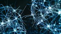 myelin