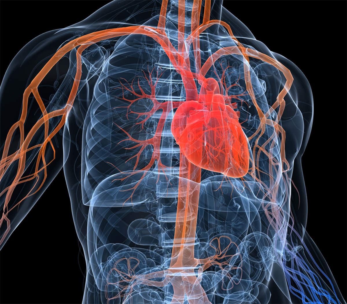 More Straight Answers About Atrial Fibrillation Heart More Straight Answers About Atrial Fibrillation Heart