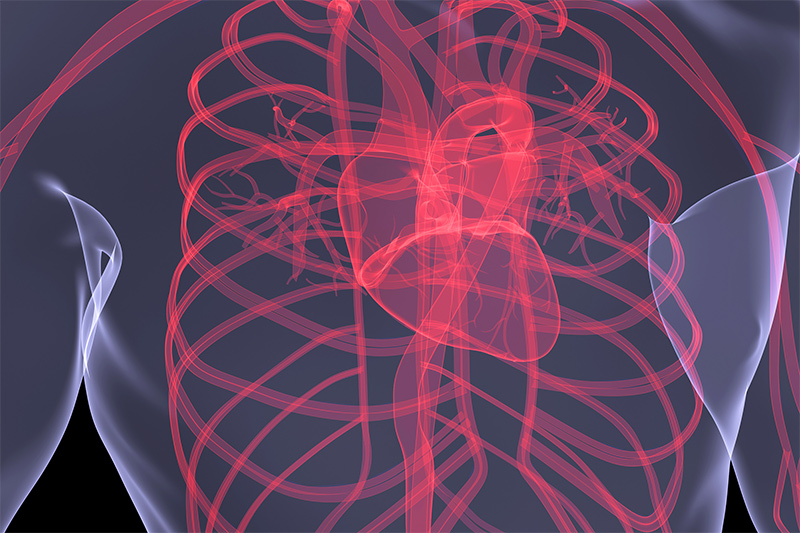 心房纤颤:“尽可能学习”(视频)