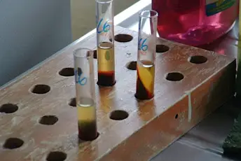 我应该测试艾滋病毒吗?