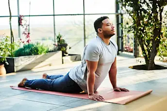 MS的最佳练习(信息图)