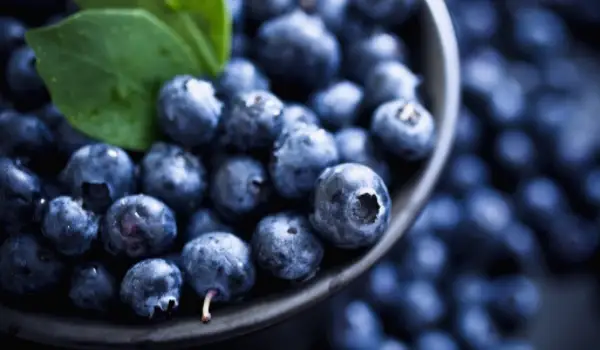 一碗新鲜的蓝莓，周围都是蓝莓。