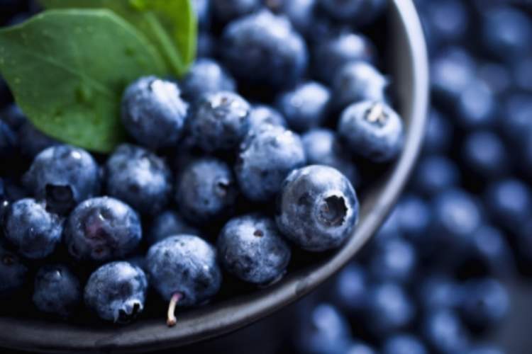 新鲜的蓝莓碗,四周蓝莓。