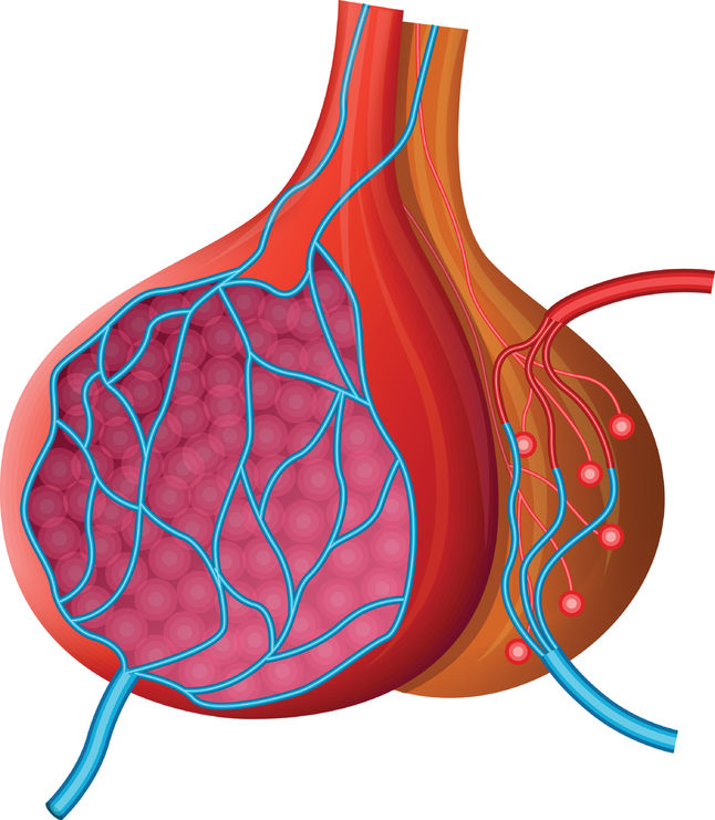 Acromegaly Symptoms