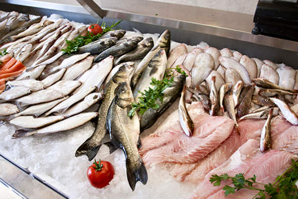 杂货店里陈列着新鲜的鱼。