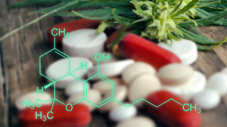 医用大麻，大麻。