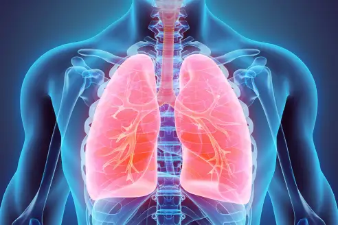 What Happens To Your Body When You Control Your Breathing? – Expand a Lung