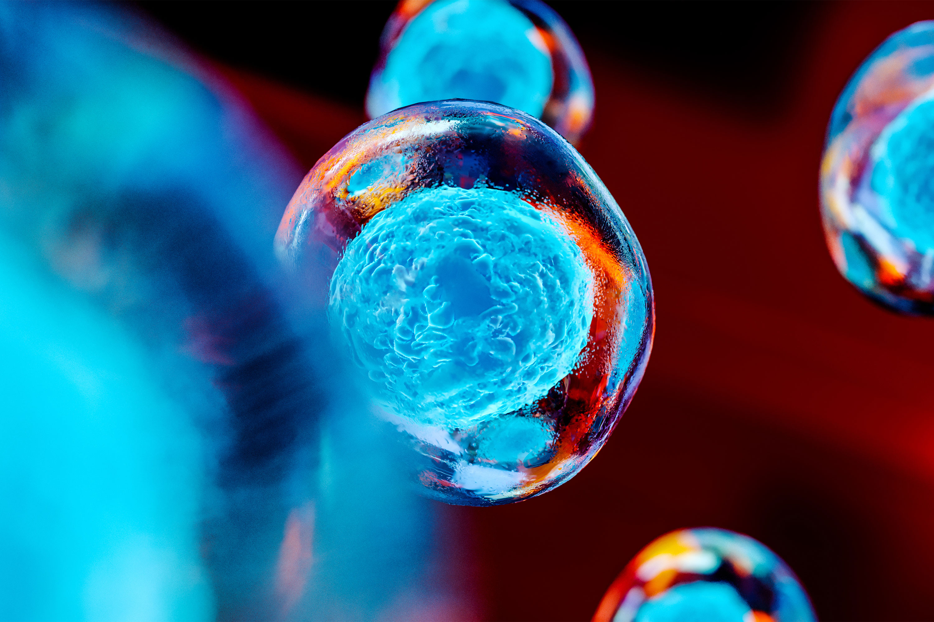 一个3 d的干细胞