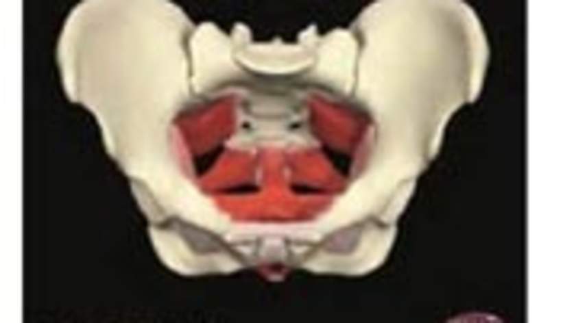 The Secret Of Chronic Pelvic Pain And The Myofascial Trigger