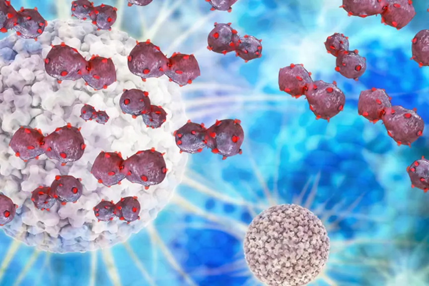 免疫疗法的例证靶向肺癌细胞。