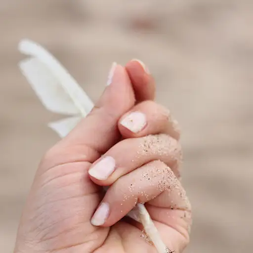 一只手拿着一根羽毛的特写