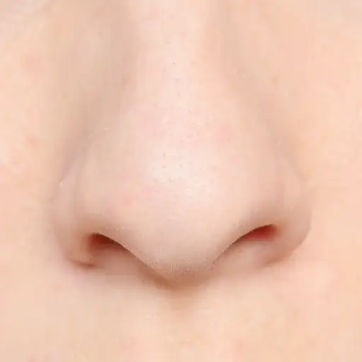 鼻子