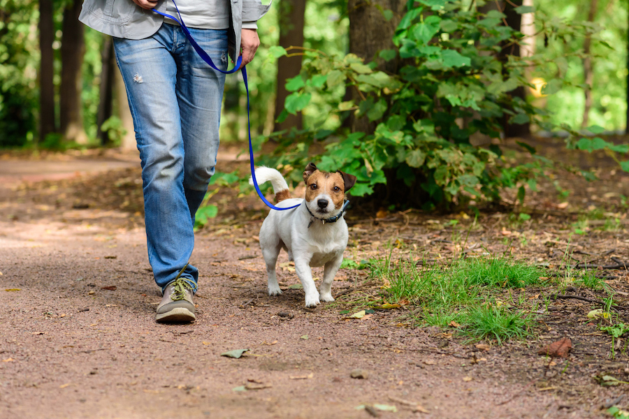 The More Steps You Take a Day, the Lower Your Blood Pressure