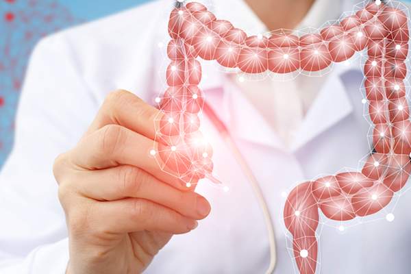 医生说明上SMARTBOARD结肠解剖。