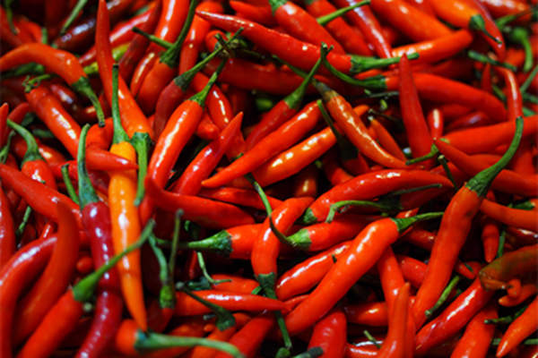 辣椒。