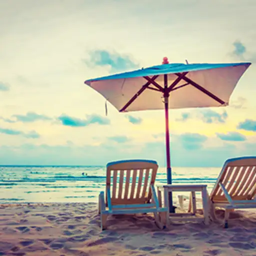 海边的沙滩伞和沙滩椅。