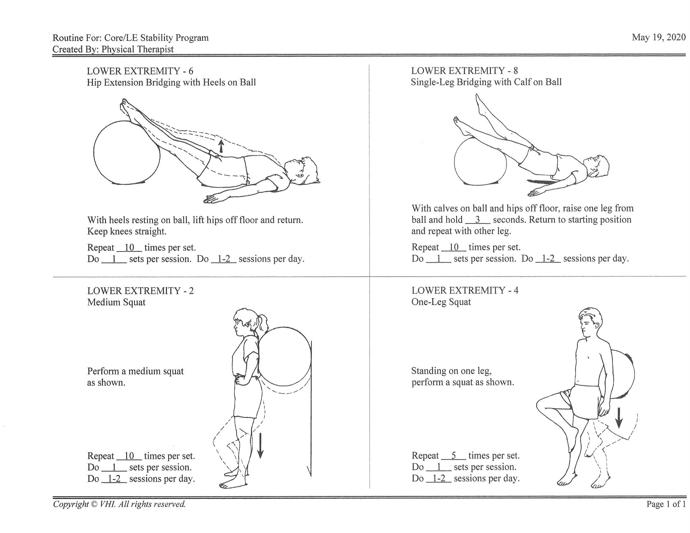 Physical Therapist's Guide to Home Exercise Programs