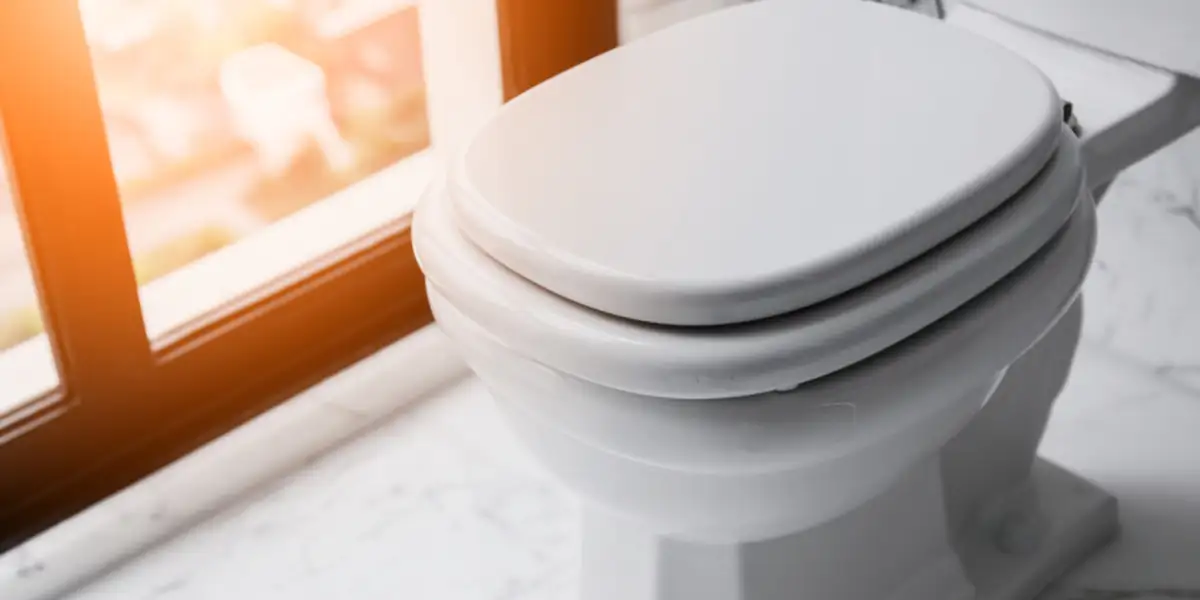 how to fix toilet seat hinge