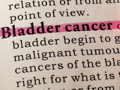 在字典中突出膀胱癌。