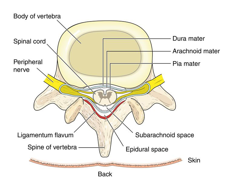 Spinal Injections and Nerve Blocks Treat Neck and Back Pain