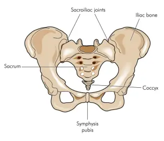 Ankylosing Spondylitis and Coccyx Pain, Tailbone Pain