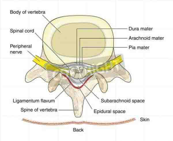How Safe Is Cervical Spine Surgery?