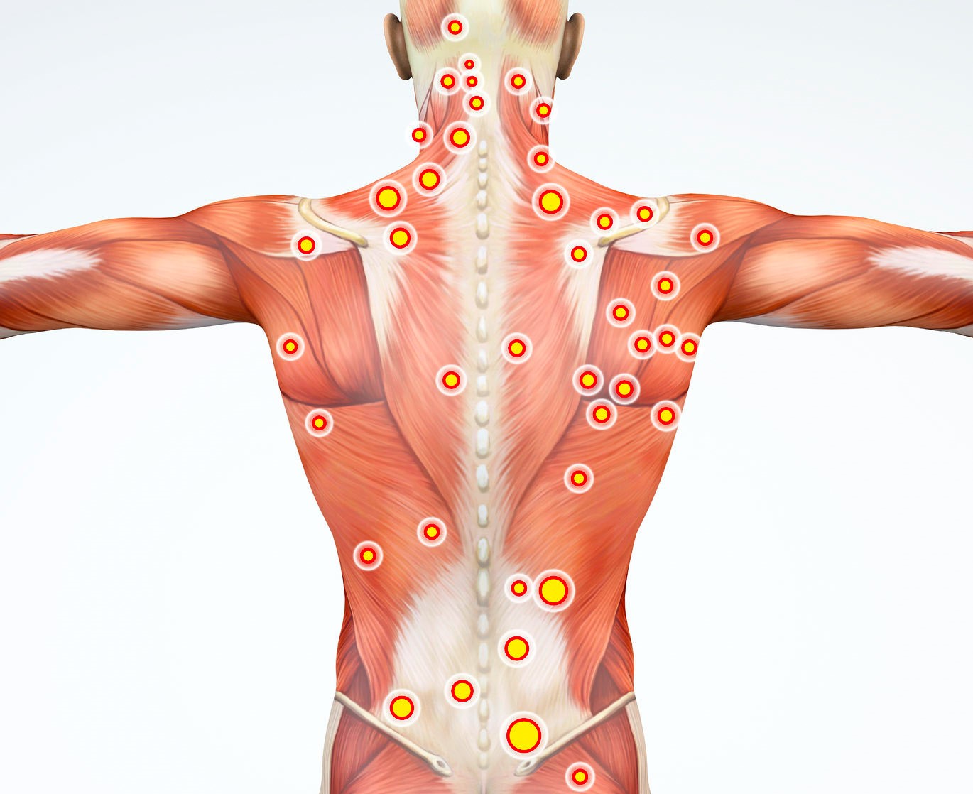 Trapezius Trigger Point Massager Release Pressure Upper-Back Waist  Acupressure