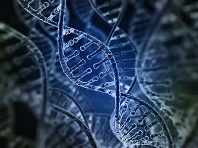 螺旋状的DNA链。