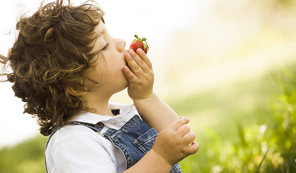 男孩吃新鲜有机草莓图像