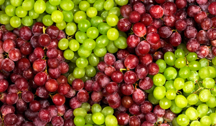 iStock-174531396.jpg