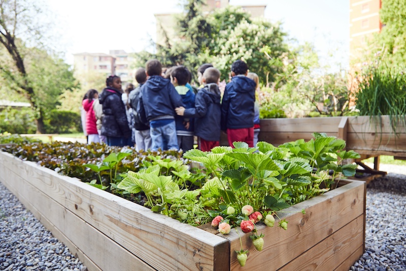 Coima - MiColtivo, School Gardens: a green classroom for our students