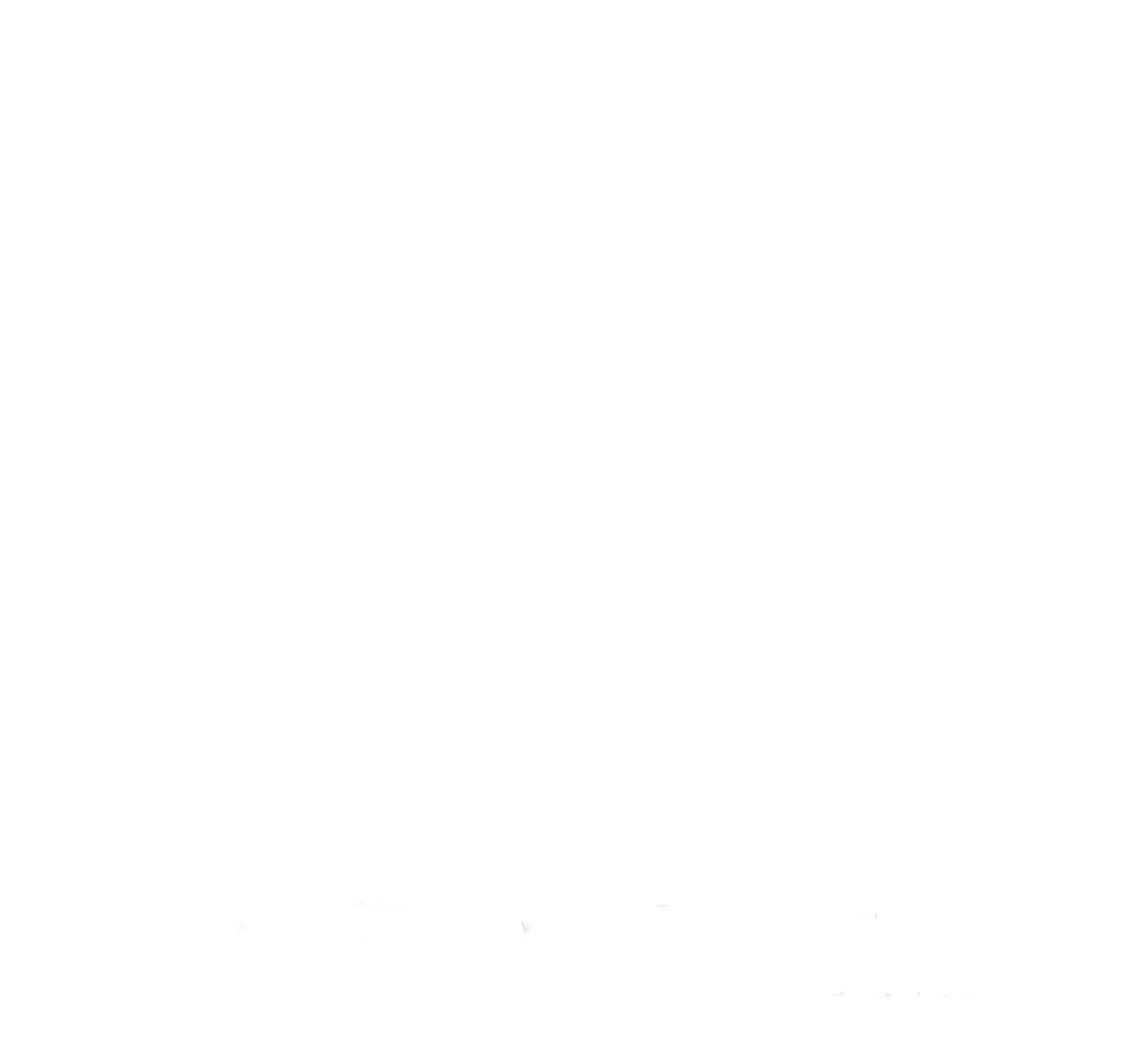 Nanne the best - The music of Tina Turner
