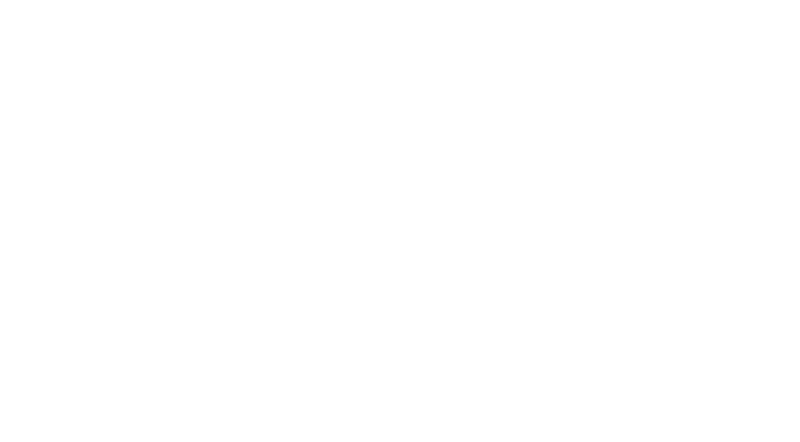 Stephen Lynch logo