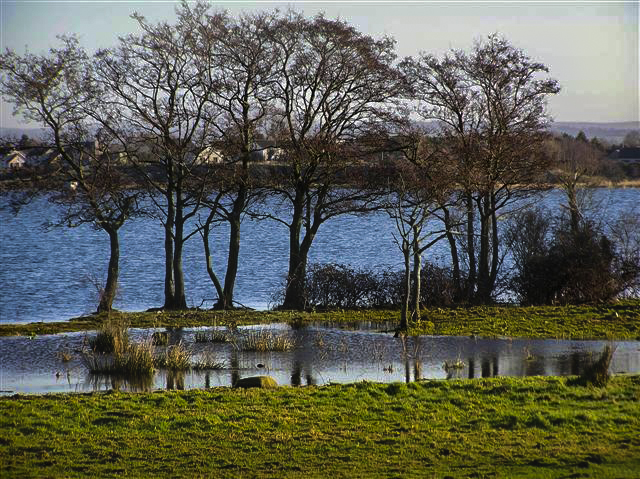 Bartin's Bay at Lough Neagh