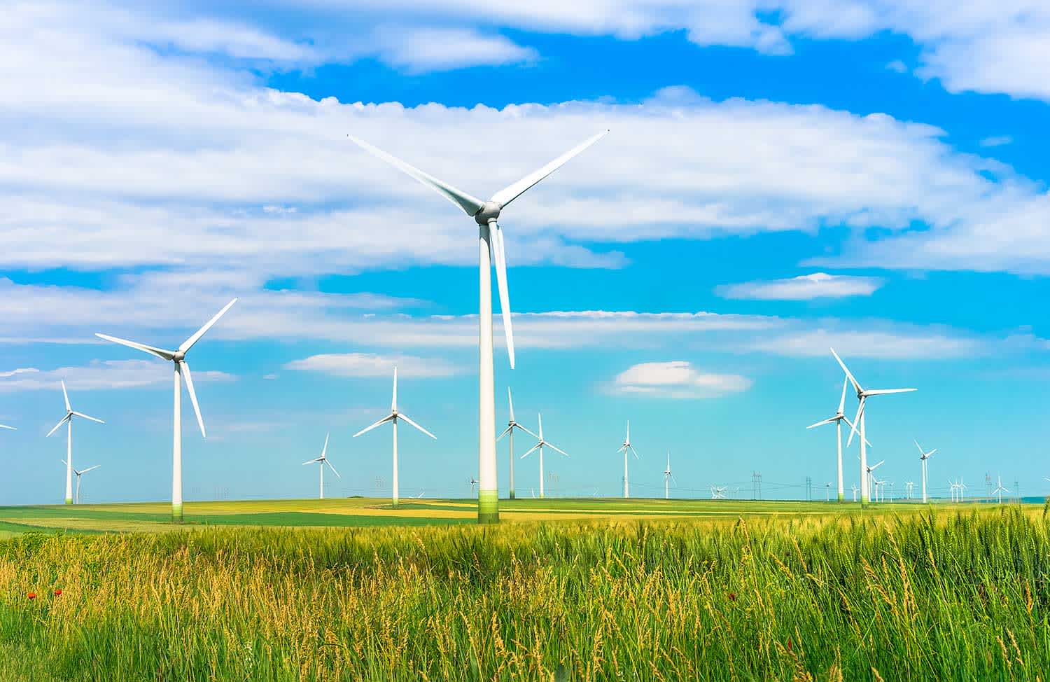 Renewable Energy Solutions: Harnessing Sustainable Power