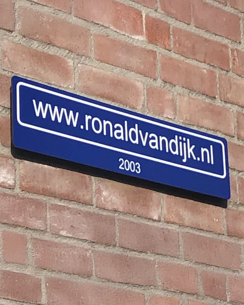 ronaldvandijk.nl - campagne spotpuntNL