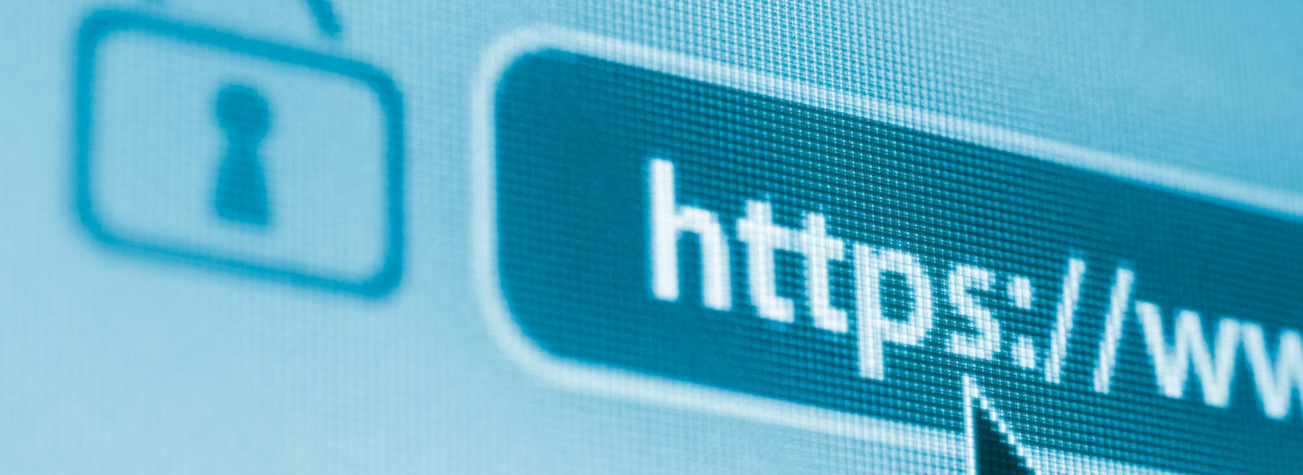 'HTTPS' in address bar of browser screen