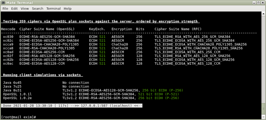 Screenshot Exim mail server