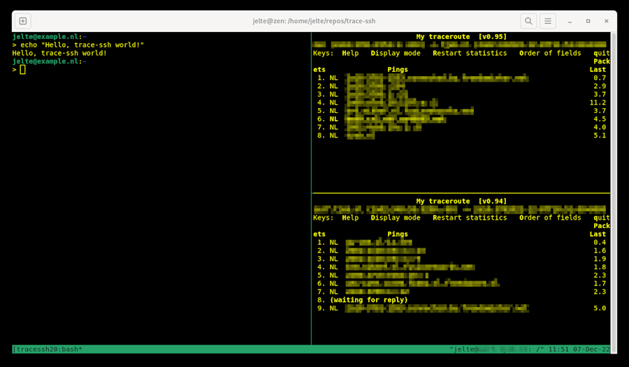 Screenshot of a trace-ssh session