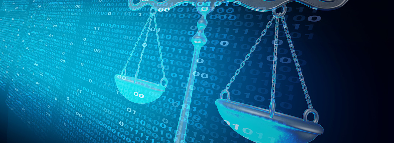 internet law