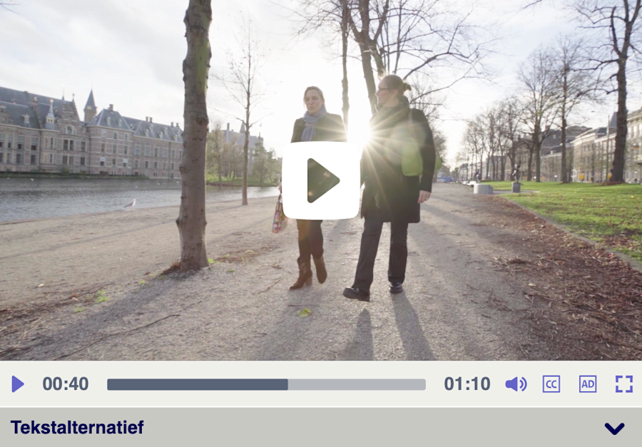 Screenshot van Scribit videoplayer