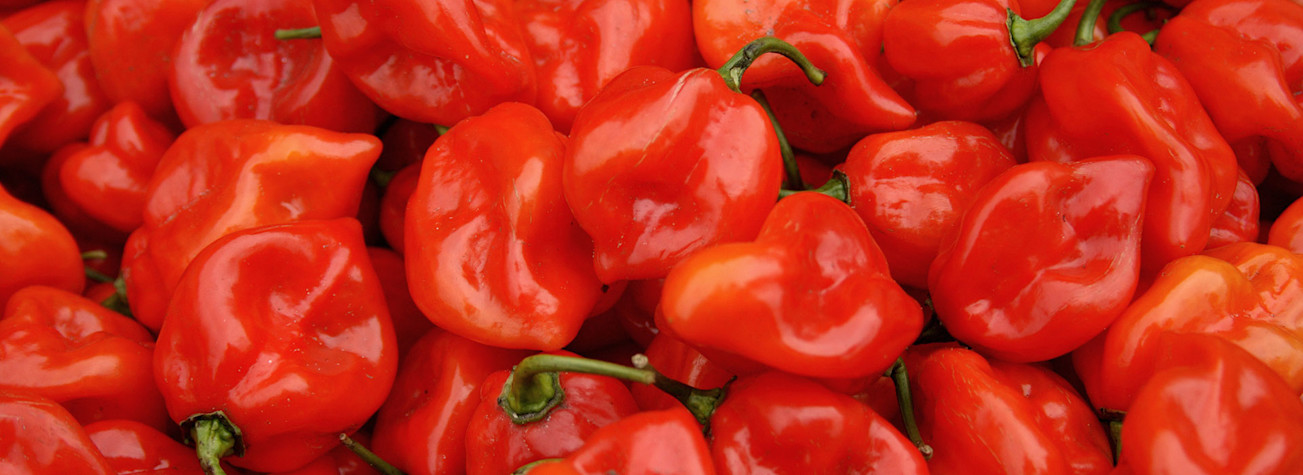 Spicy red peppers