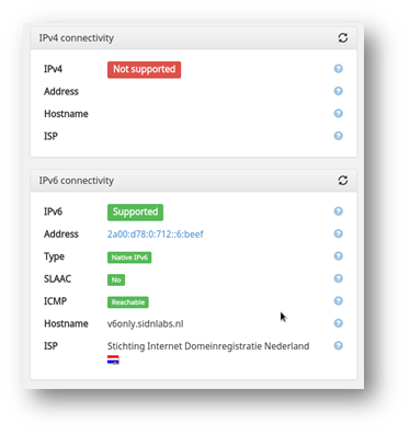 Screenshot van een testuitslag op de website ipv6-test.com