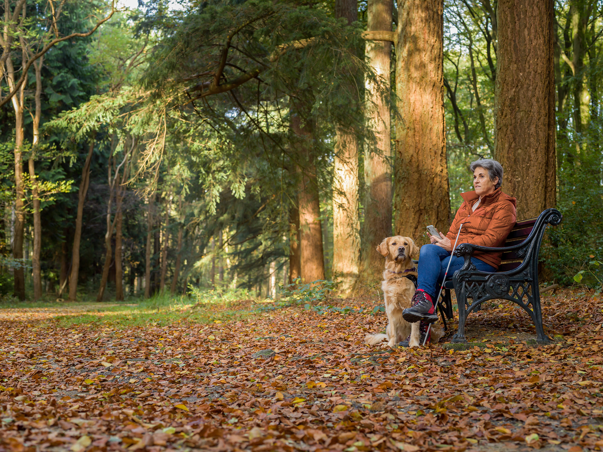 how far will a blind dog walk into the forest